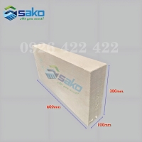 Gạch AAC 600x300x100mm